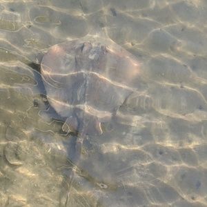 Meet your Posher, Craig